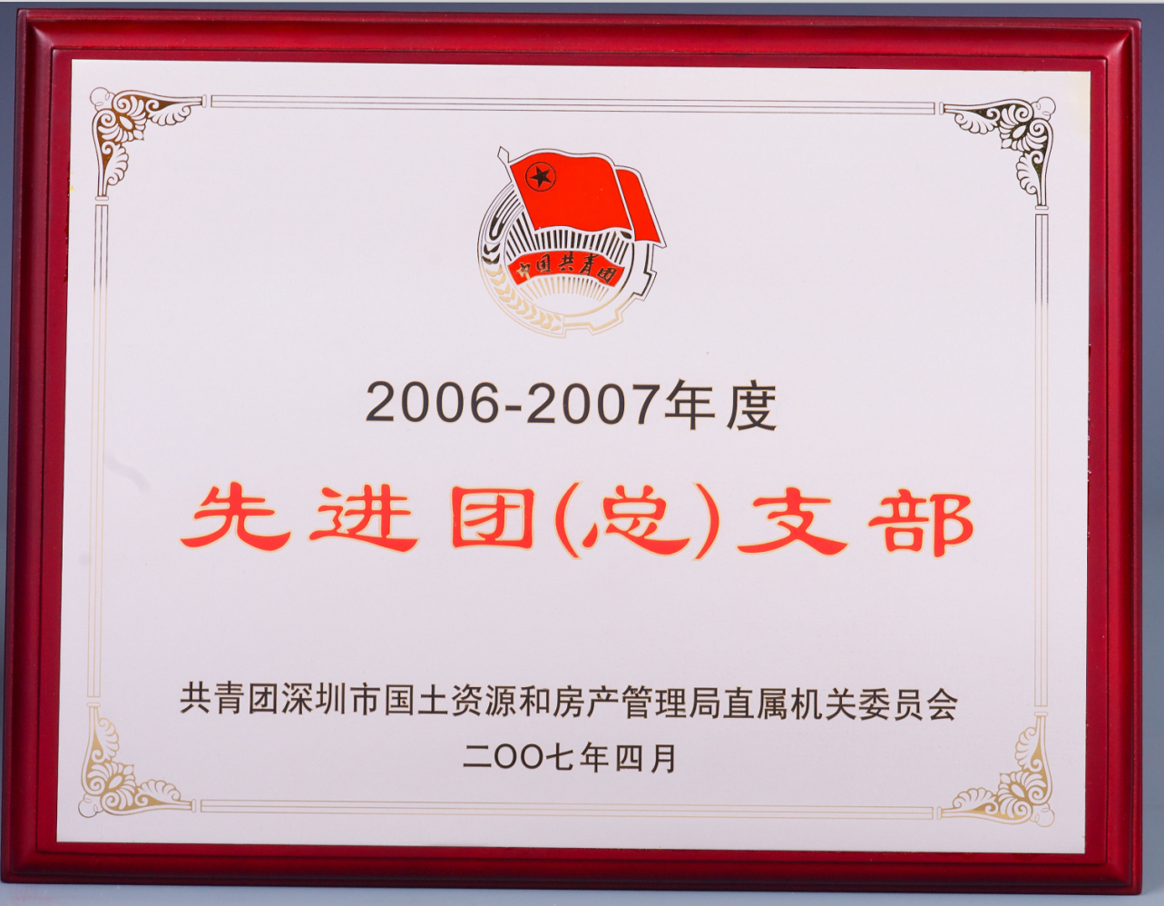 2006-2007年度先进团（总）支部
