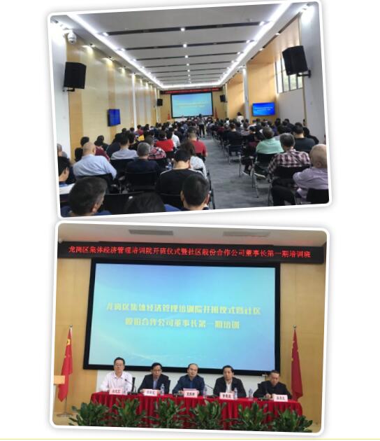 龙岗股份公司的人才培养