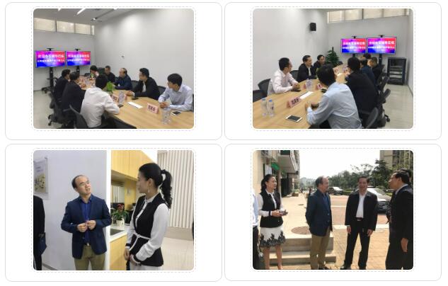 龙岗股份公司的未来发展