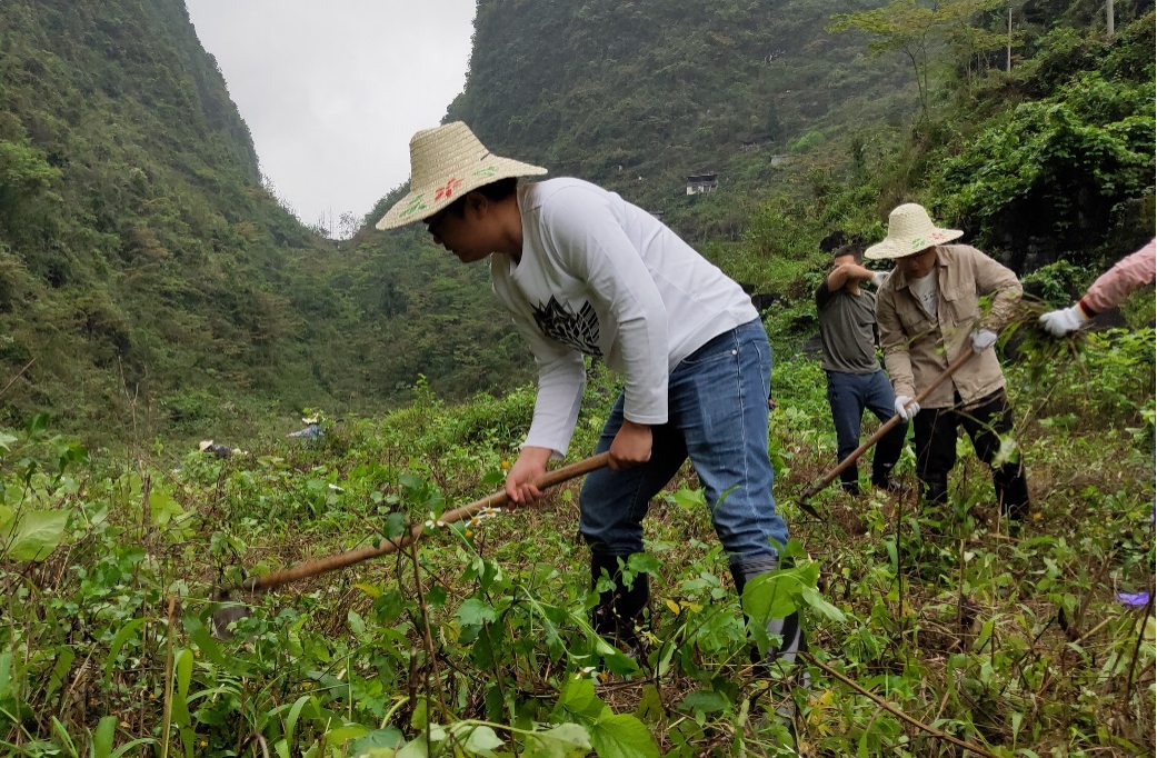 新乡垦荒人图片