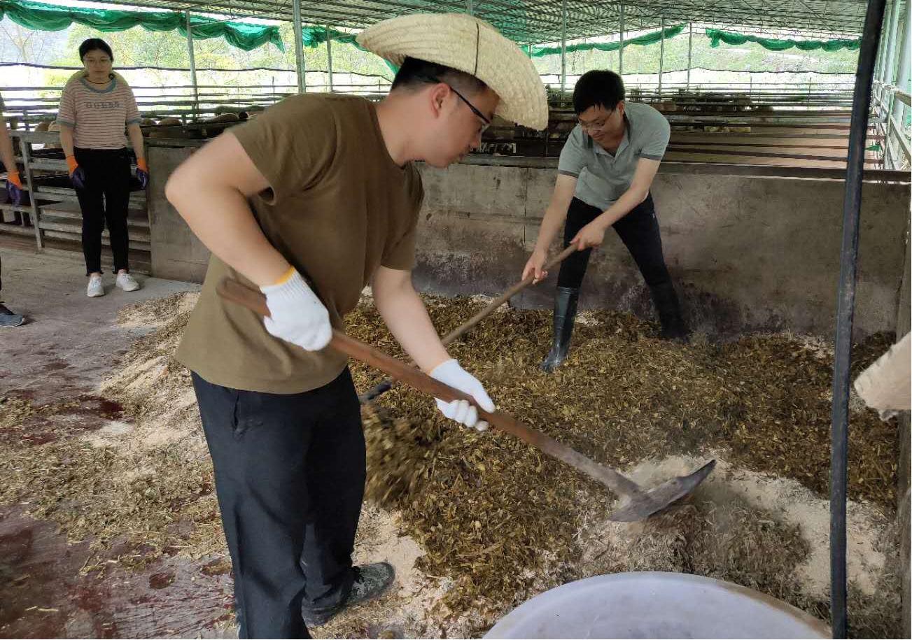 学员调配饲料
